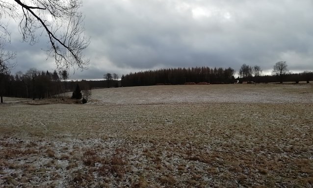 Bild: St&uuml;rmische Winde bei null Grad heute Morgen im oberen Harz