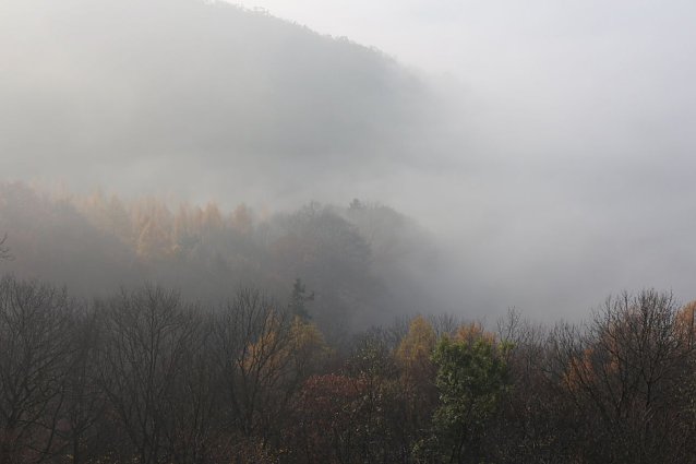 Bild: Wetterbild