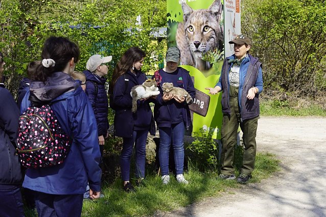 Bild: Schulklasse im Wildkatzendorf
