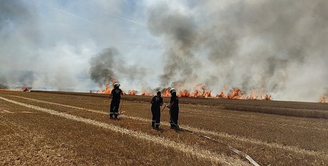 Bild: Feldbrand an der Kreisgrenze zum Kyffh&auml;userkreis