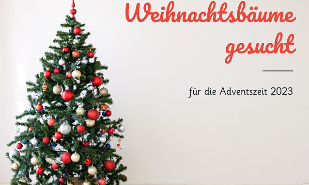 Bild: Vier Tannen sollen den Weihnachtsmarkt versch&ouml;nern