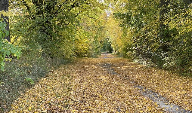 Bild: Herbstwetter bleibt freundlich