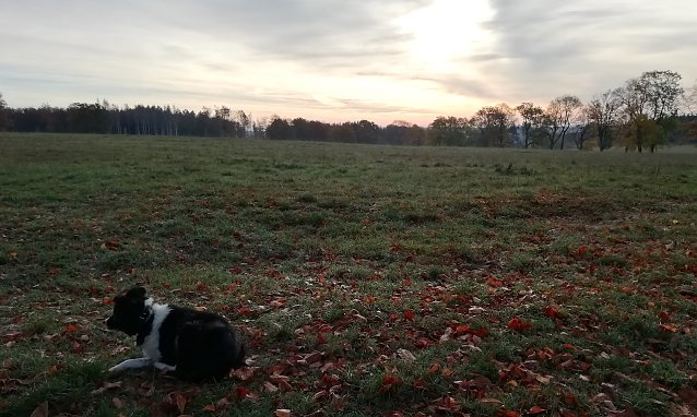 Bild: Heute Morgen in Sophienhof: 1 Grad, windstill, leichte Bew&ouml;lkung 