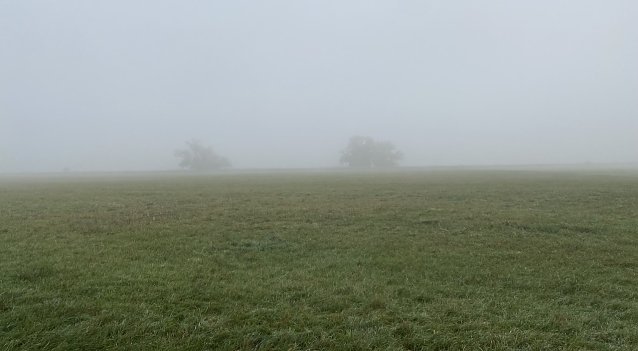 Bild: Vielerorts in Th&uuml;ringen nachts und am Morgen neblig