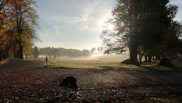 Bild: Unsere Wetterstation in Sophienhof im harz meldet heute Morgen 10 Grad Celsius, Windstille und Sonnenschein