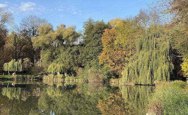 Bild: Ein goldener Herbst auch am B&ouml;hmenteich bei Bad Langensalza