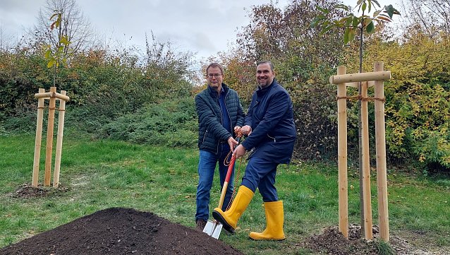 Bild: Am Rande der Parkanlage Alter Friedhof in M&uuml;hlhausen pflanzten Johannes Bruns und Alexander Heppe zwei Esskastanien. 