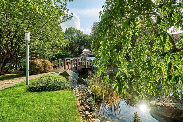 Bild: Im M&auml;rz &ouml;ffnet der japanische Garten wieder seine Pforten