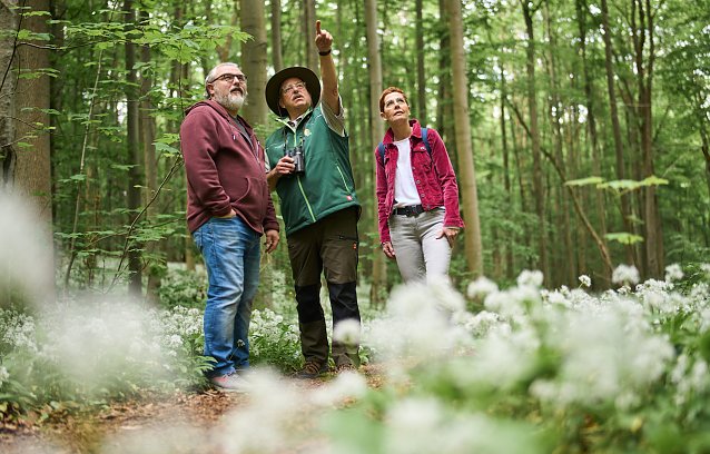 Bild: Ab Saisonstart am 1. April finden wieder regelm&auml;&szlig;ig samstags und mittwochs die beliebten Rangerwanderungen statt.