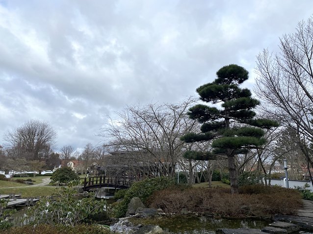 Bild: St&uuml;rmisches Wetter auch im Japanischen Garten Bad Langensalzas