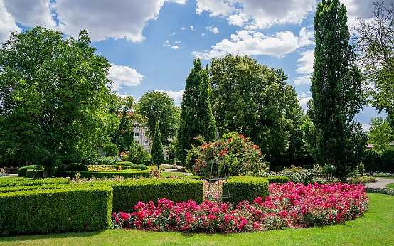 Bild: Rosengarten