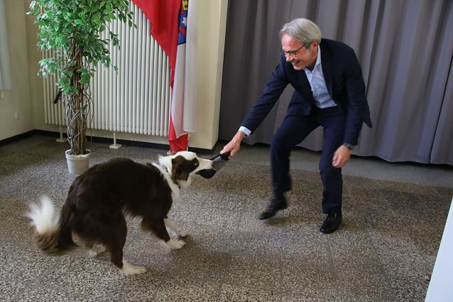 Bild: Zur Not tut's auch der Innenminsiter: nach getaner Arbeit darf sich Kevin ein wenig austoben