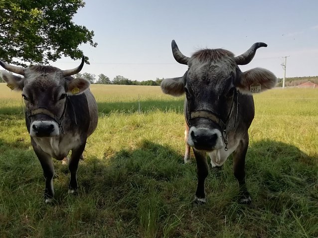 Bild: Bei 17 Grad und Sonnenschein kann man es sich in Sophienhof schonmal im Schatten gem&uuml;tlich machen