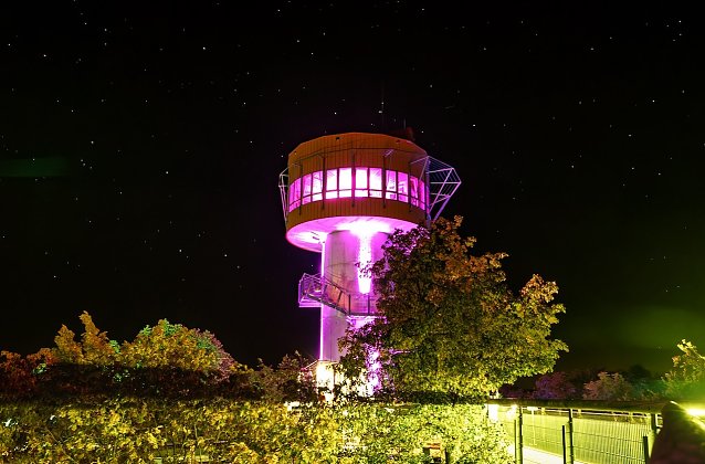 Bild: H&ouml;hengenuss auf dem Baumkronenpfad