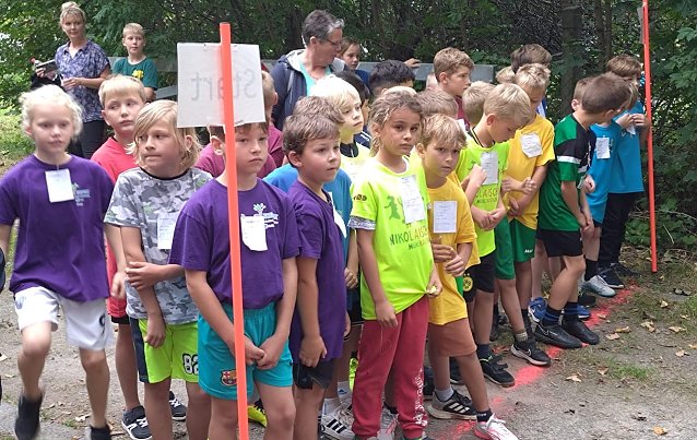 Bild: Crosslauf im Badew&auml;ldchen mit 500 Kindern