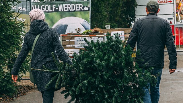 Bild: Weihnachtsbaumkauf wird teurer
