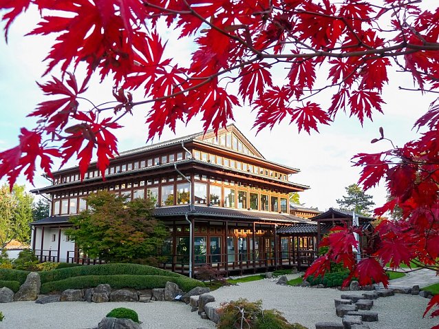 Bild: Japanischer Garten im Herbst 