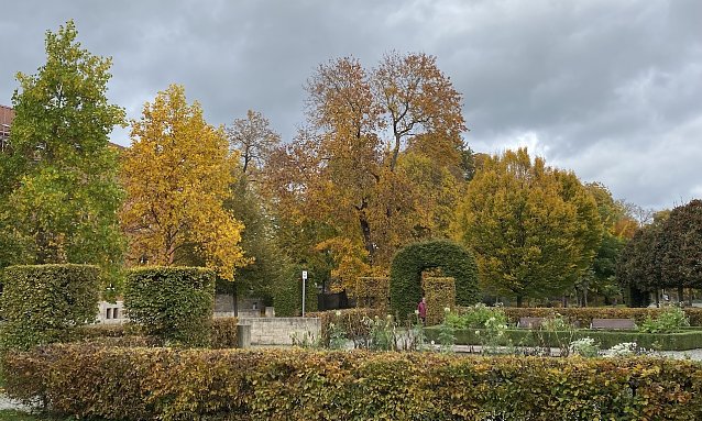 Bild: Herbststimmung im Kurpark Bad Langensalza