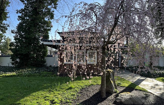 Bild: Eingangsbereich des Japanischen Gartens in Bad Langensalza 