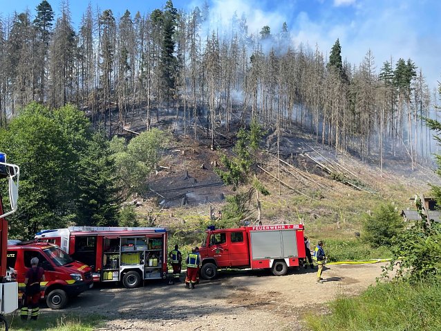 Bild: Ein Feuerwehrauto steht in einem Wald. 