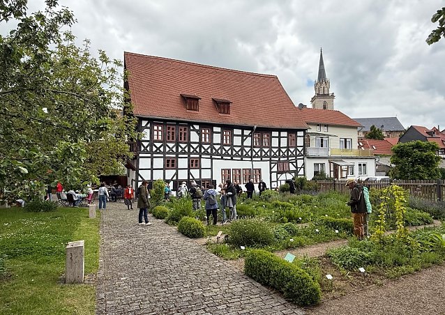 Bild: Kr&auml;utergarten - Hintergrund Apothekenmuseum