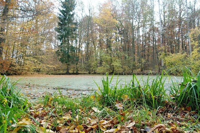 Bild: Wetter-Bild