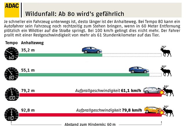 Bild: Grafik