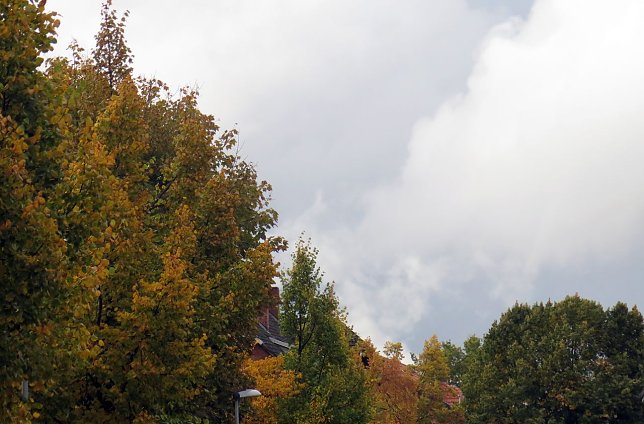 Bild: Wetter-Bild