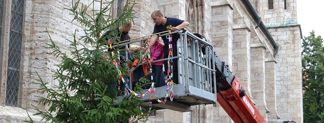 Bild: Kirmesbaum am Kornmarkt wird geschm&uuml;ckt