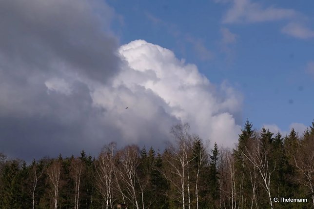 Bild: Wetter-Bild