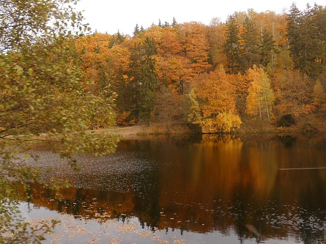 Bild: Goldener Herbst am Heiligen Teich bei Gernrode