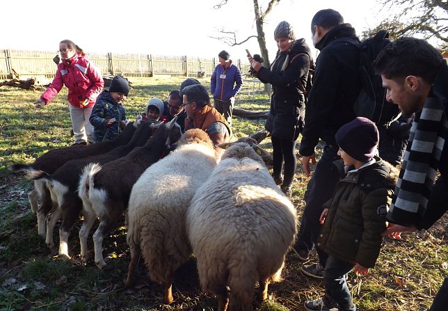 Bild: Erlebnistage im Schullandheim