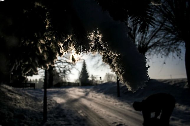 Bild: Wetter-Bild