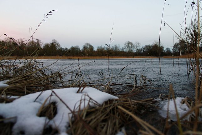 Bild: Wird es nochmal Winter?