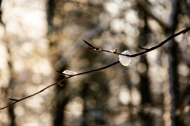 Bild: Wetterbild