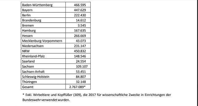 Bild: &Uuml;berblick
