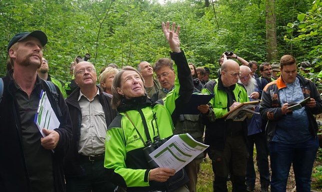 Bild: Th&uuml;ringenForst f&uuml;hrt Schulungen zur landesweiten Waldzustandserhebung durch