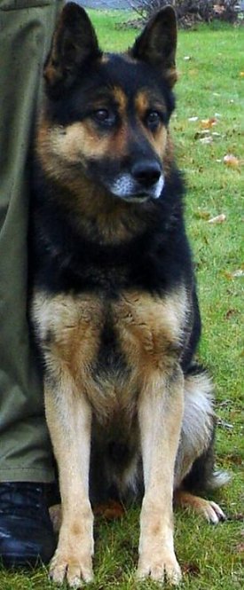 Bild: Hektor