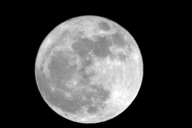 Voller Mond (Foto: H. Liesegang)