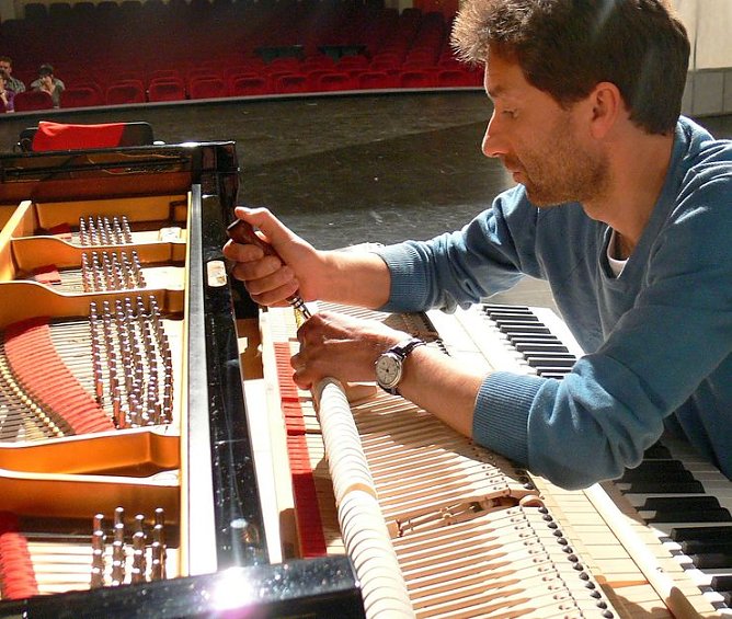 Gestimmt (Foto: I. Kühn) Gestimmt (Foto: I. Kühn)