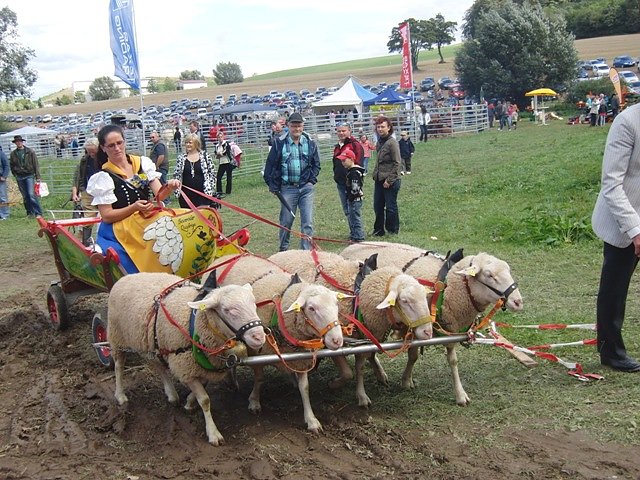 Bauernmarkt (Foto: Ilka Kühn) Bauernmarkt (Foto: Ilka Kühn)