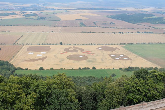Letzte Chancen (Foto: Kyffh&auml;user Tourismusverband)