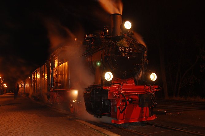 Zum Weihnachtsmarkt nach Wernigerode (Foto: privat)