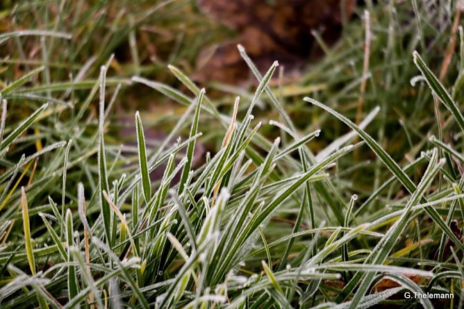 Wetter-Bild (Foto: Gernot Thelemann)