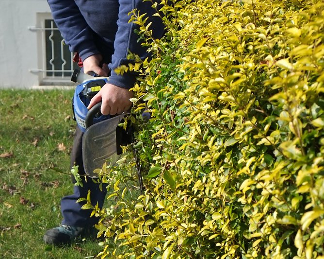 Vorsicht bei Gartenarbeiten (Foto: T&Uuml;V Th&uuml;ringen)