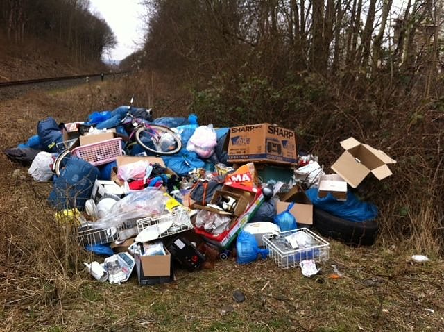 Der illegal abgelagerte M&uuml;llberg in M&uuml;hlhausen. (Foto: Landratsamt)