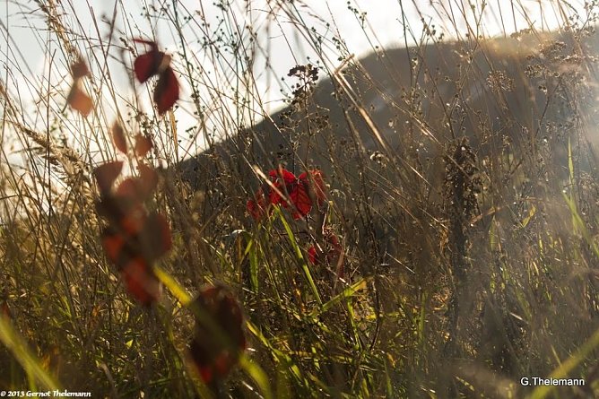 Wetter-Bild (Foto: Gernot Thelemann)