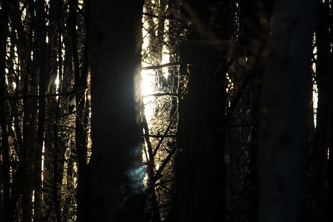 Wetter-Bild (Foto: Gernot Thelemann)