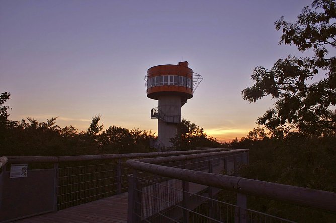 Der Lebensraum Baumkronen ist spannend � besonders bei Tagesanbruch, wenn das Leben im Hainich erwacht, und zum Sonnenuntergang, wenn es im Wald stiller wird und die nachtaktiven Tiere zu beobachten sind. (Foto: Foto: reko)