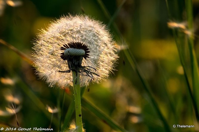 Wetterbild (Foto: Gernot Thelemann)
